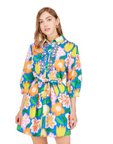 Embroidered Shirt Dress