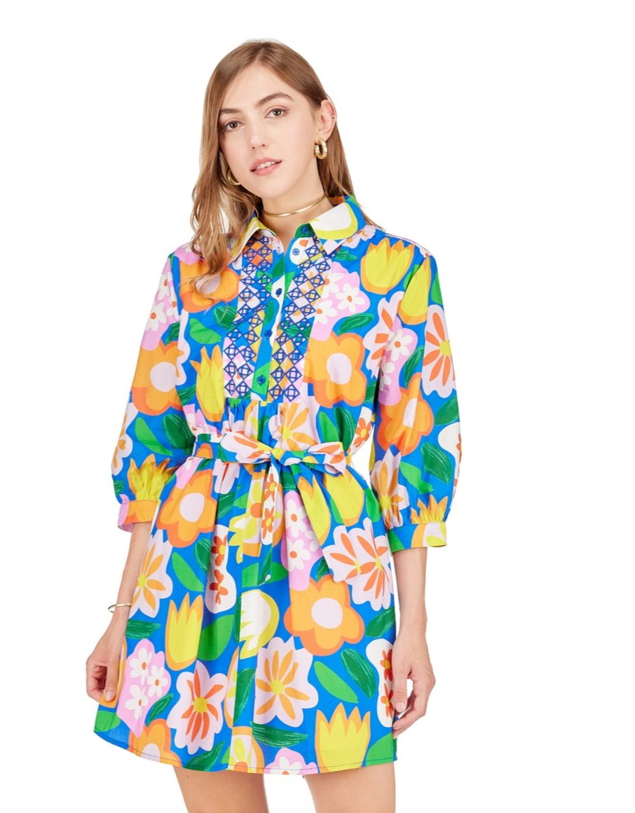 Embroidered Shirt Dress