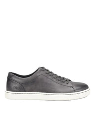 Allegheny II - Grey